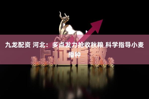 九龙配资 河北：多点发力抢收秋粮 科学指导小麦播种